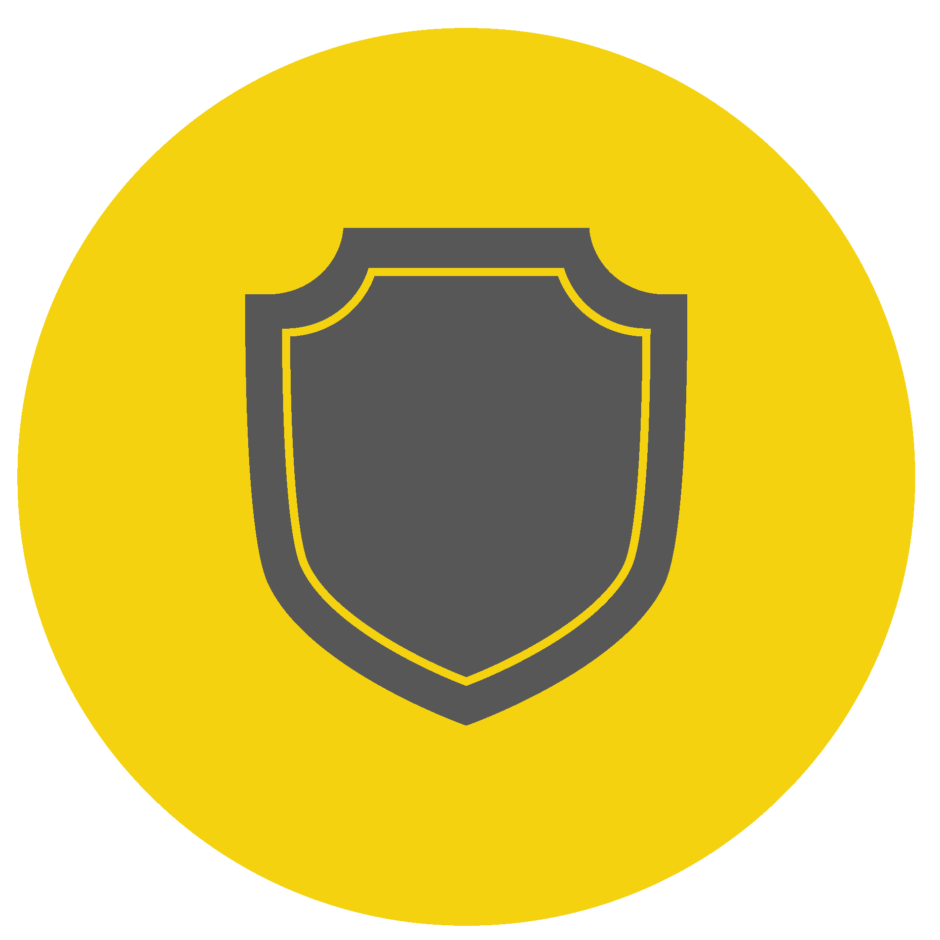 Icon Securite.png